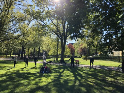 Företagsträning i grupp på arbetsplatsen för friskare medarbetare